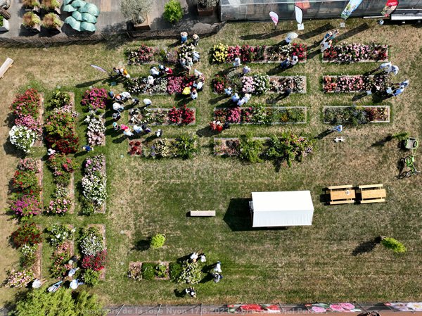 vue aérienne du concours de la rose nouvelle de Nyon
