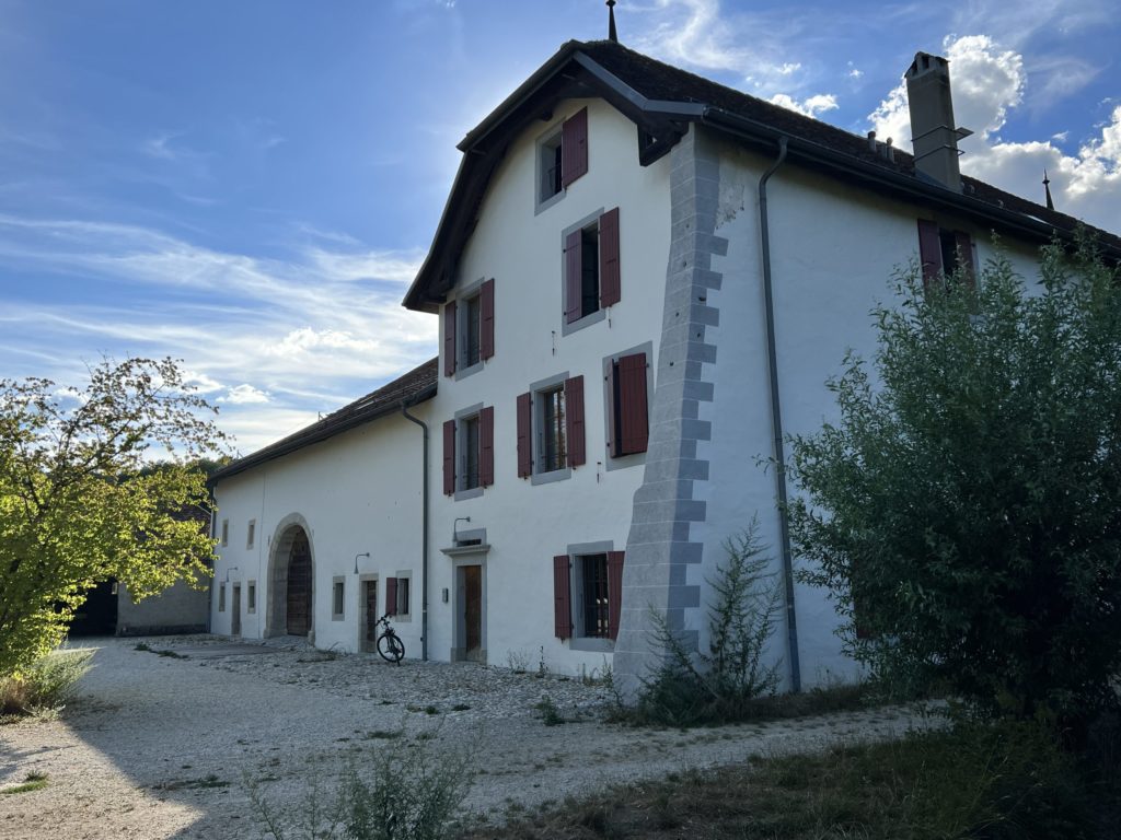 ED512AEE-F941-4740-B993-29A3372B53D6-scaled