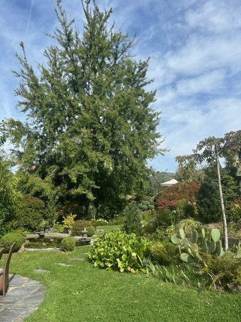 Visite-jardin du voyage-J P Clavien-LARN11