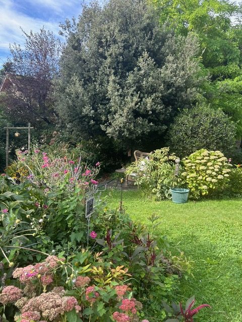 Visite-jardin du voyage-J P Clavien-LARN7