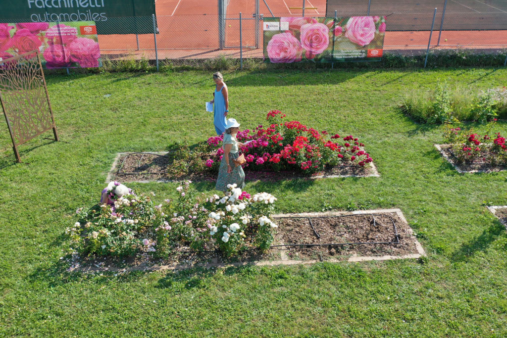 Concours_international_rose_nouvelle_Nyon_20_06_2026_