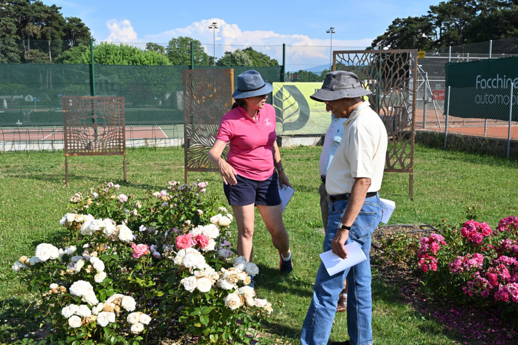 Concours_international_rose_nouvelle_Nyon_20_06_2026_